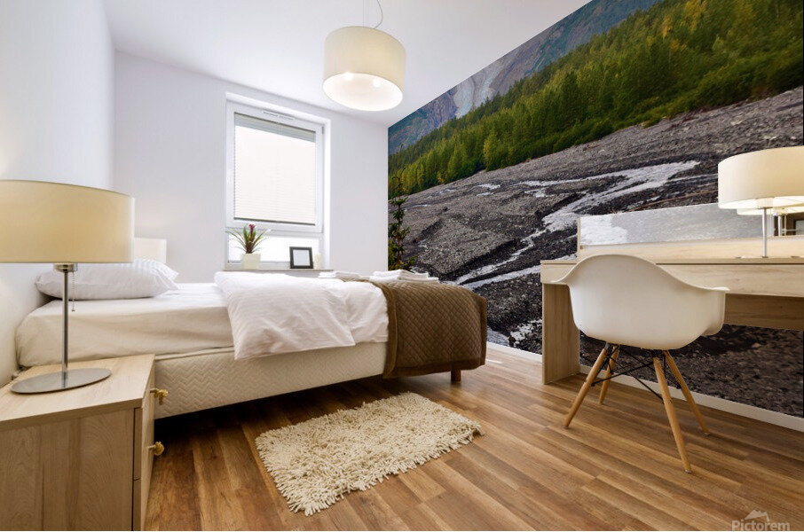 Version 2 27 Mural print