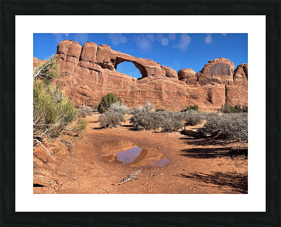 Skyline Arch Reflection Picture Frame print