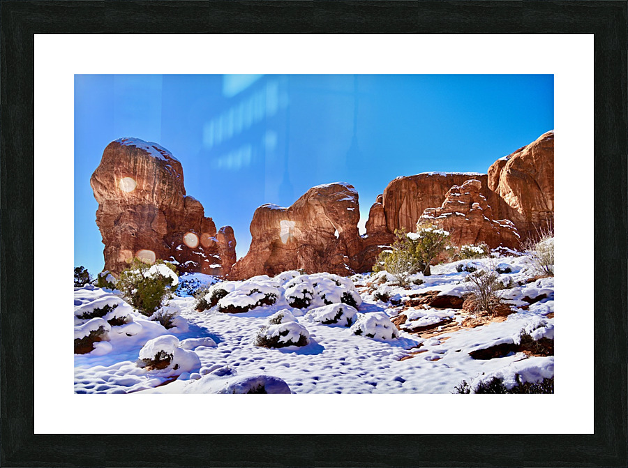 Elephant Arch in Winter Picture Frame print