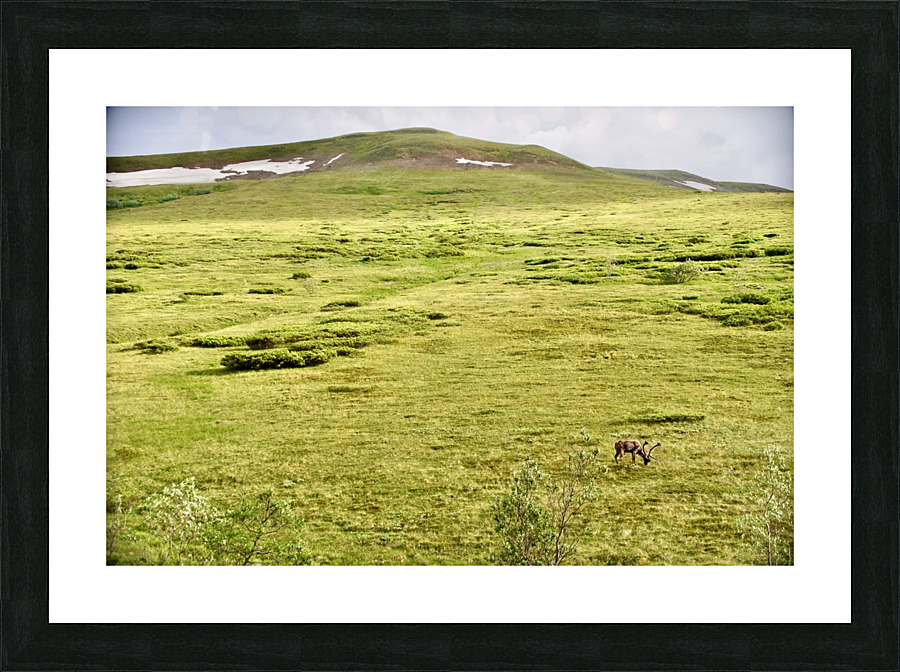 JCA 2196 Picture Frame print