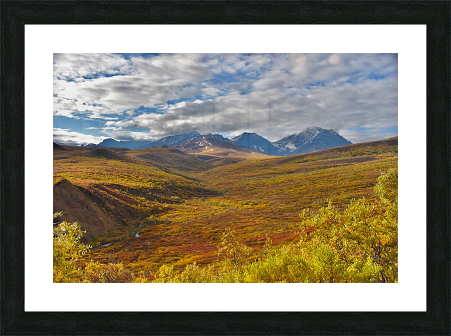 Version 2 54 Picture Frame print