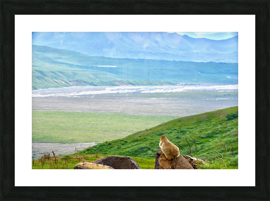 Version 2 18 Picture Frame print
