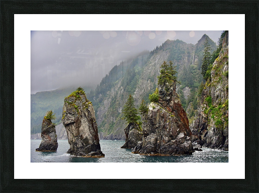 Version 2 39 Picture Frame print