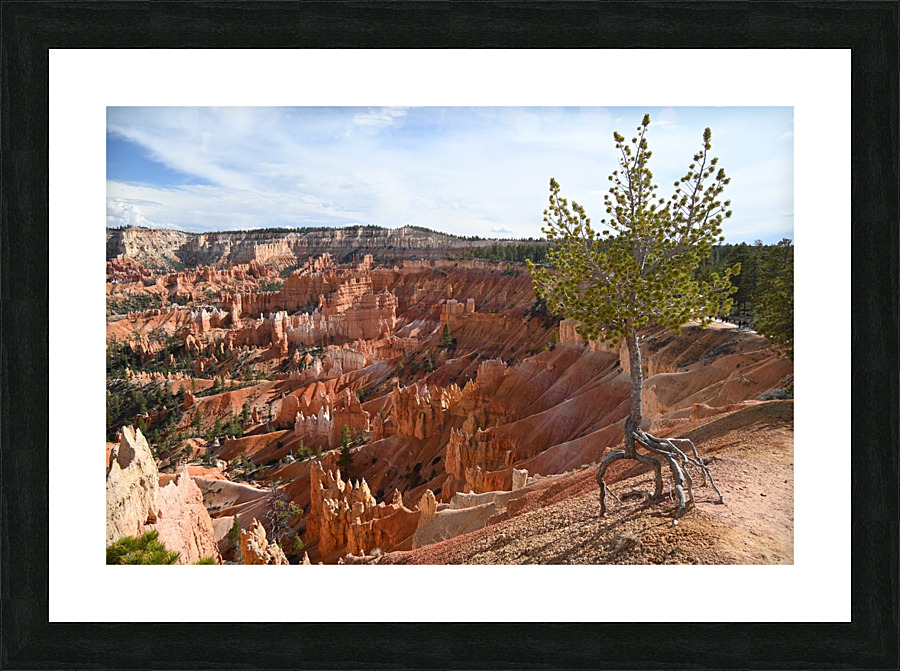 Bryce Sunset Pt 2 Picture Frame print