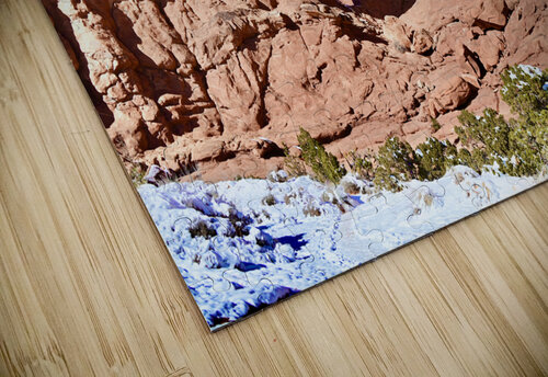 Double Arch Winter Tom Fritz puzzle