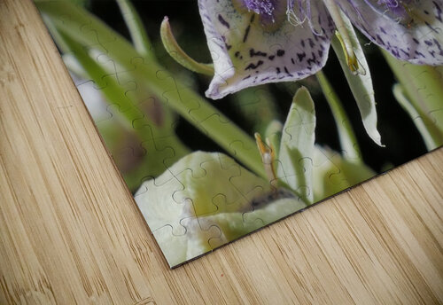 Cedar Breaks Elkweed Tom Fritz puzzle