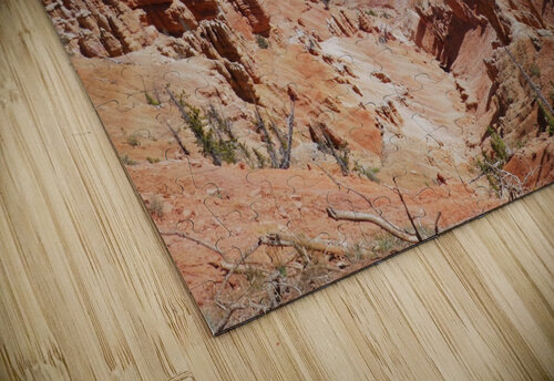 Cedar Breaks Canyon Tom Fritz puzzle
