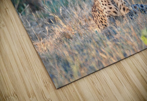 Cheatah at Sunset Tom Fritz puzzle