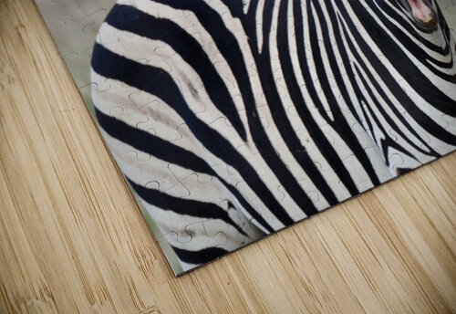 Funny Zebra Tom Fritz puzzle