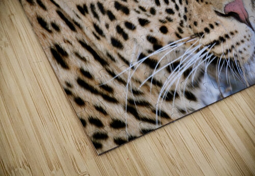 Lovely Leopard Tom Fritz puzzle