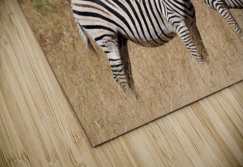 Mirrored Zebras Tom Fritz puzzle