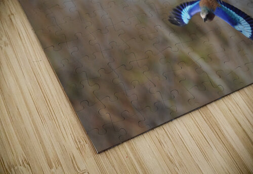 Diving Lilac Breasted Roller Tom Fritz puzzle