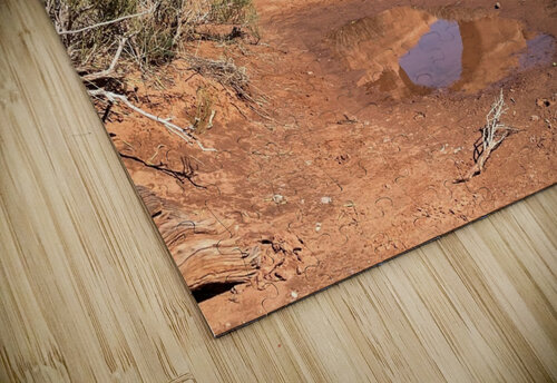 Skyline Arch Reflection Tom Fritz puzzle