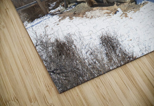 Arches  Wolfe Ranch Cabin Tom Fritz puzzle
