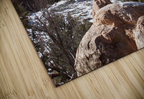 Arches Landscape Arch Tom Fritz puzzle
