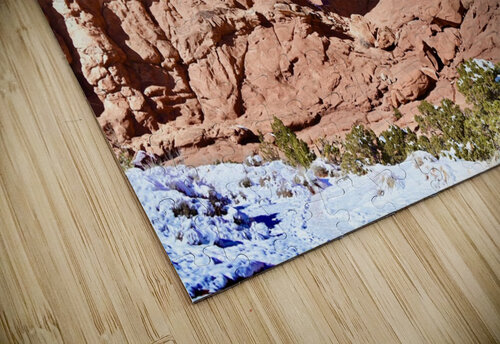 Arches Double Arch Tom Fritz puzzle