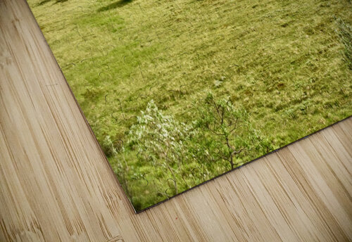 JCA 2196 Tom Fritz puzzle