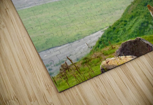 Version 2 18 Tom Fritz puzzle