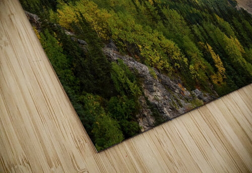 Version 2 56 Tom Fritz puzzle