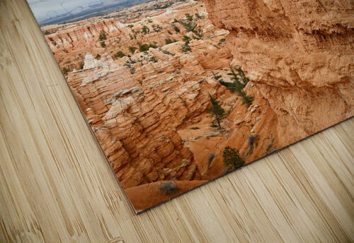 Bryce Trail Wall Tom Fritz puzzle