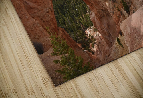 Bryce Natural Bridge Tom Fritz puzzle
