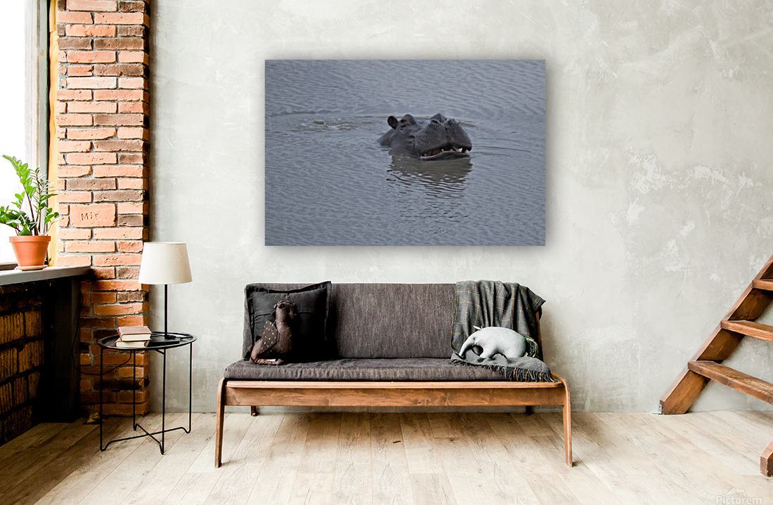 Mischievous Hippo Reproduction