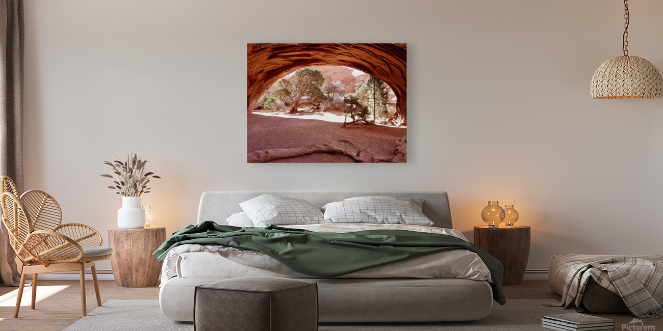 Private Arch Reproduction