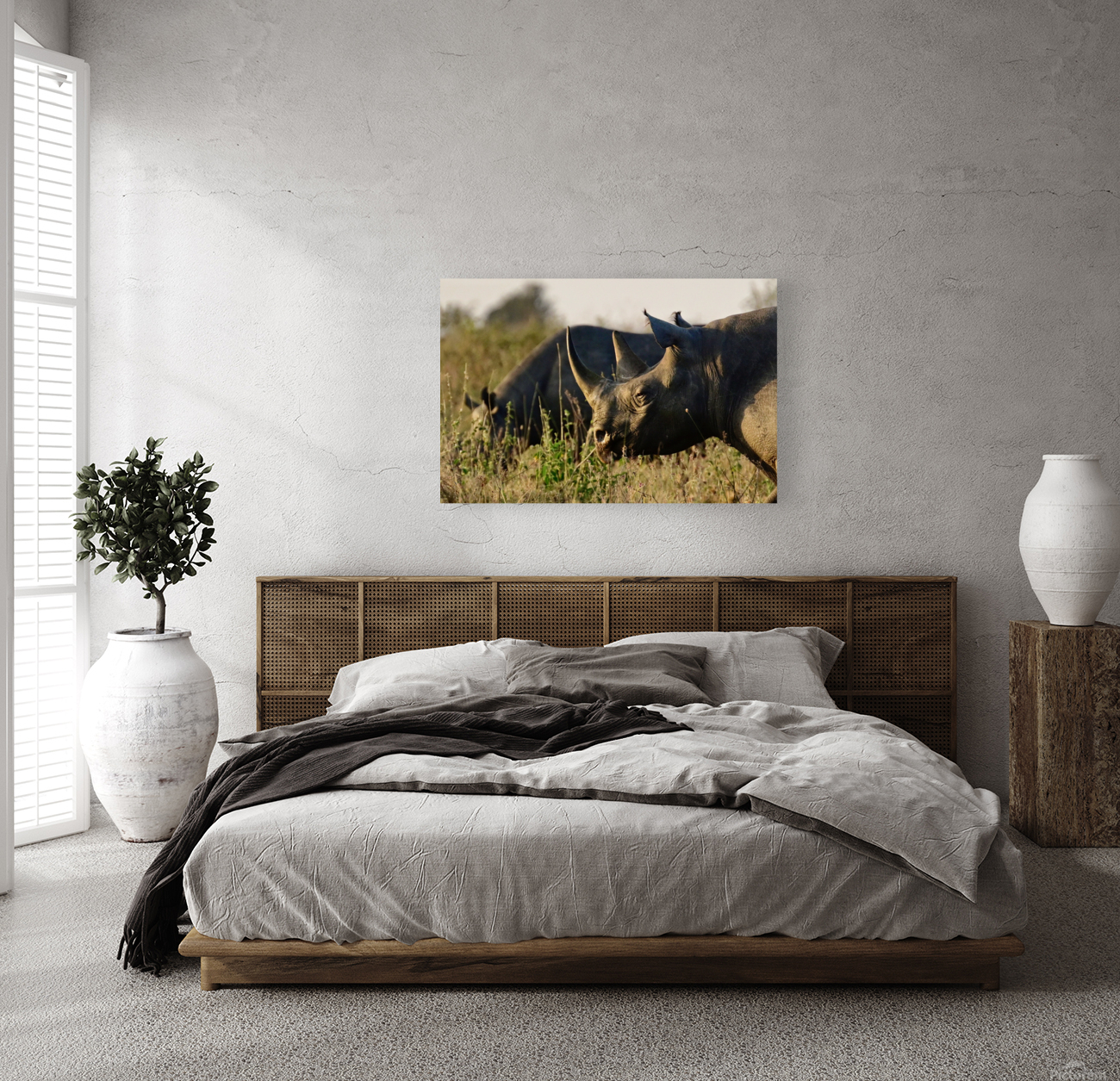 Black Rhino Close Up Reproduction