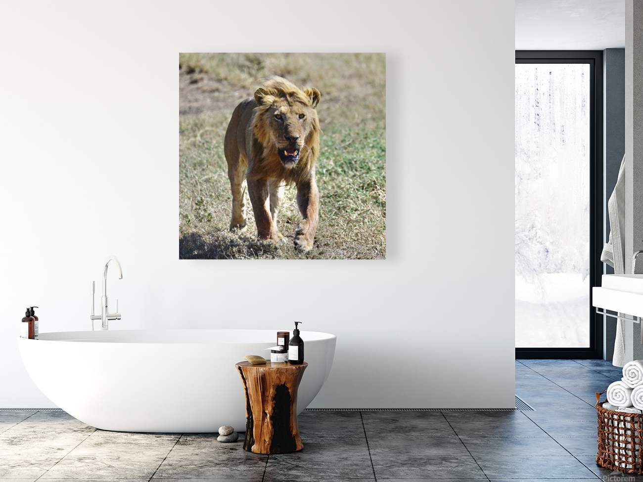 Baba Simba on the Move Reproduction