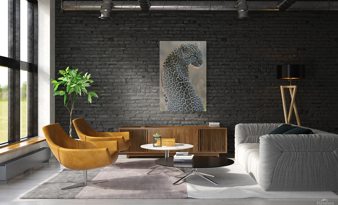 Leopard Portrait Reproduction