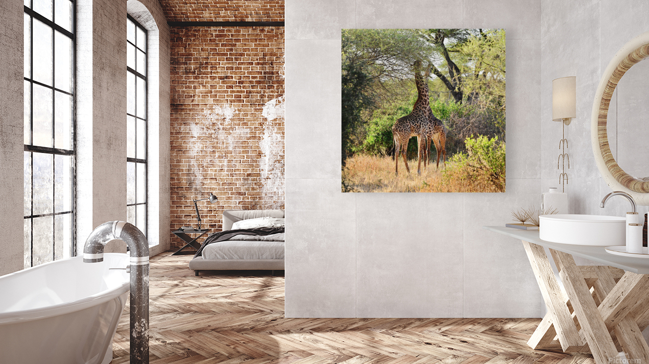 Stereo Giraffes Reproduction