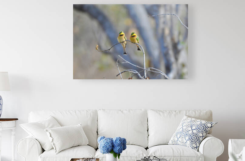 Swallow Tailed Bee Eater Couple by Tom Fritz