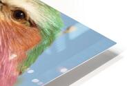 Lilac Breasted Roller Close Up HD Metal print