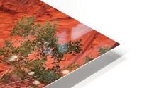 Kane Creek Stream HD Metal print