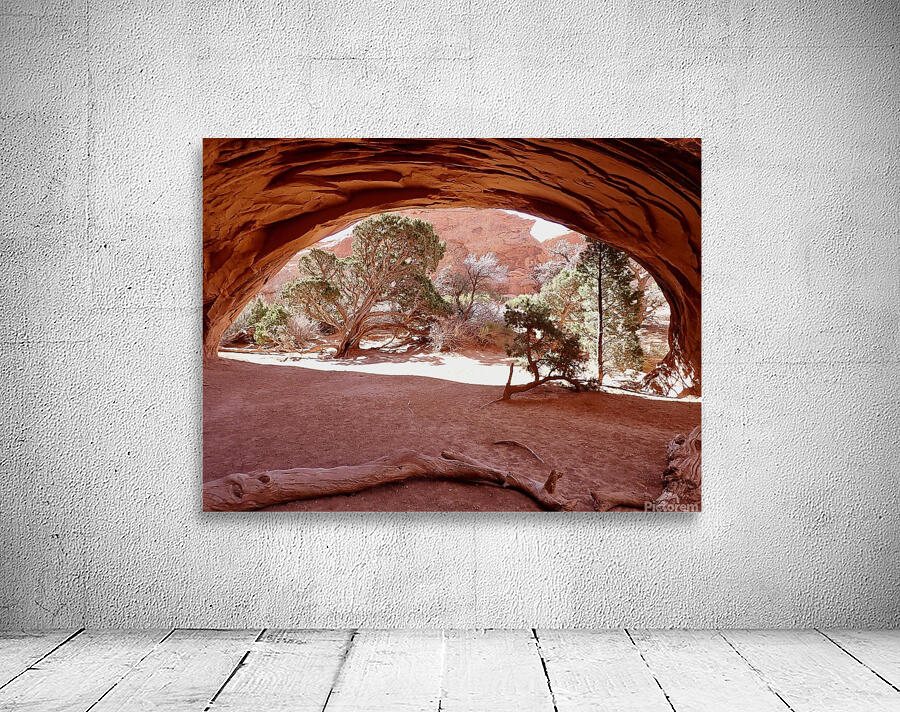 Private Arch Wall Preview