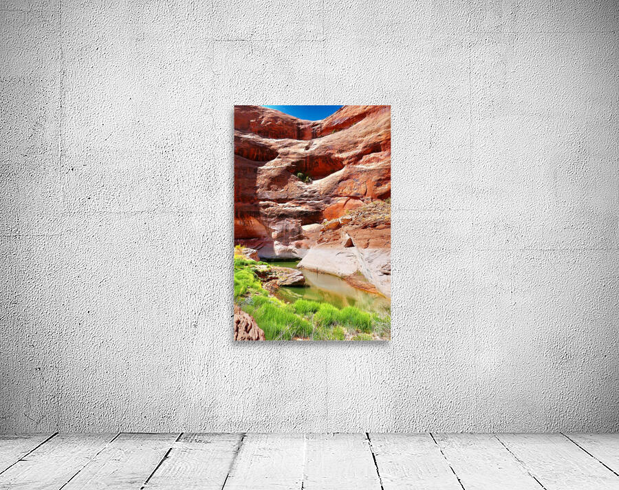 Lake Powell Stream Feed Wall Preview