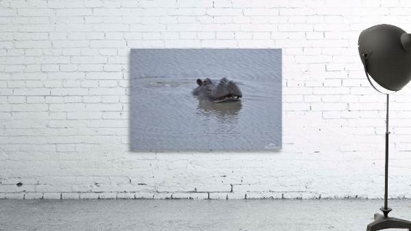 Mischievous Hippo Wall Preview