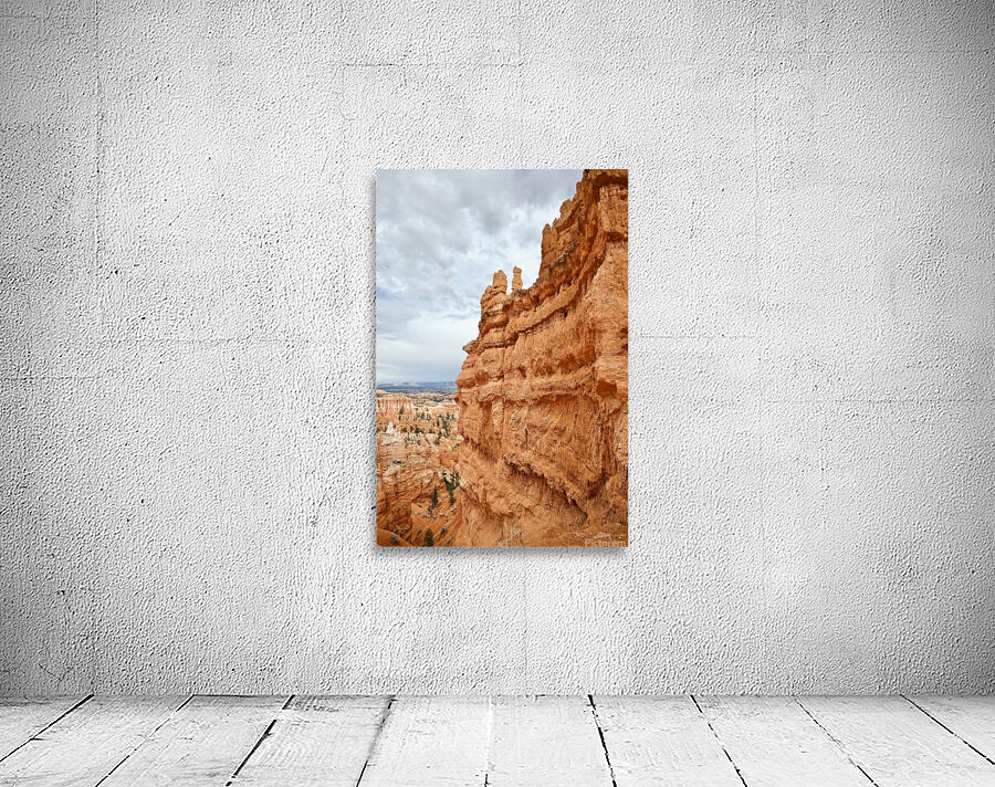 Bryce Trail Wall Wall Preview