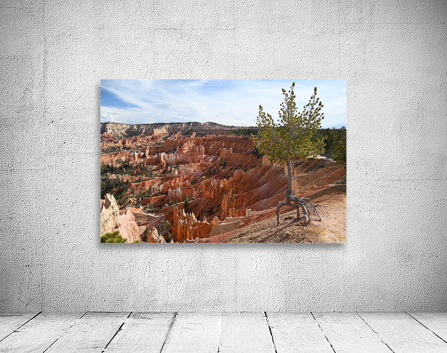 Bryce Sunset Pt 2 Wall Preview