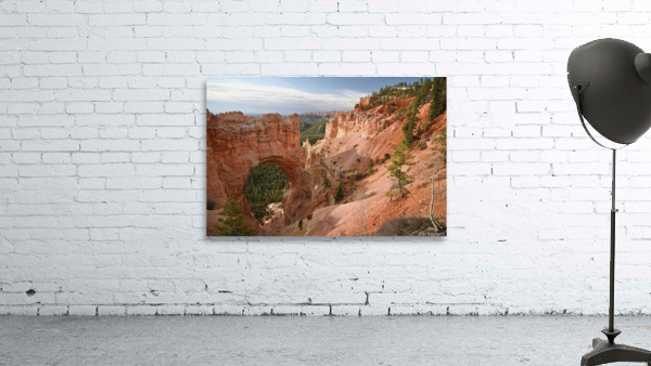 Bryce Natural Bridge Wall Preview