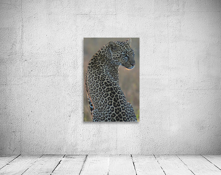 Leopard Portrait Wall Preview