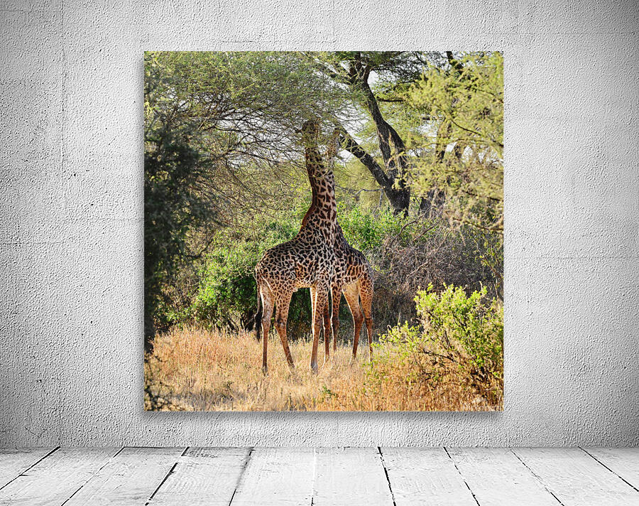 Stereo Giraffes Wall Preview