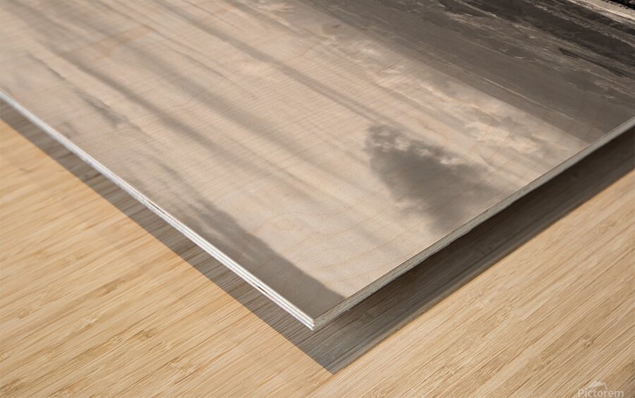 Green River Overlook Winter Wood print