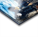 Curious Angus Acrylic print