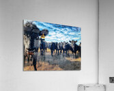 Curious Angus Acrylic Print