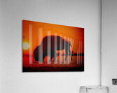 Orange Bison Sunset Acrylic Print