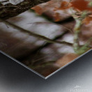 Winter doe Metal print