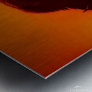 Orange Bison Sunset Metal print