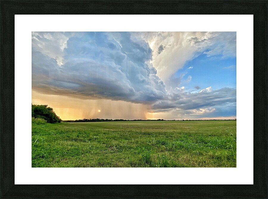 Rolling in Picture Frame print