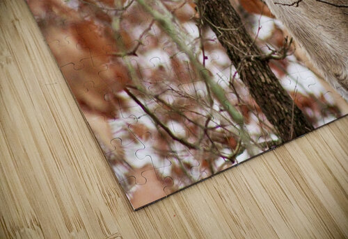 Winter doe Sunset Chasin Adventure Photography puzzle